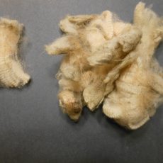 Fiber
